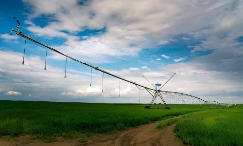 Best pivot for tall crops? High-profile vs standard pivot clearance